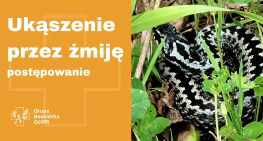 Zdj. GOPR  Beskidy
