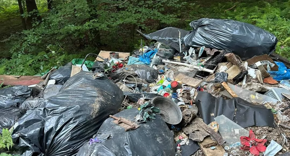 Nasze sprawy, **Skandaliczne Zaśmiecenie Jeleśni Sprawca grozi surowa - zdjęcie, fotografia