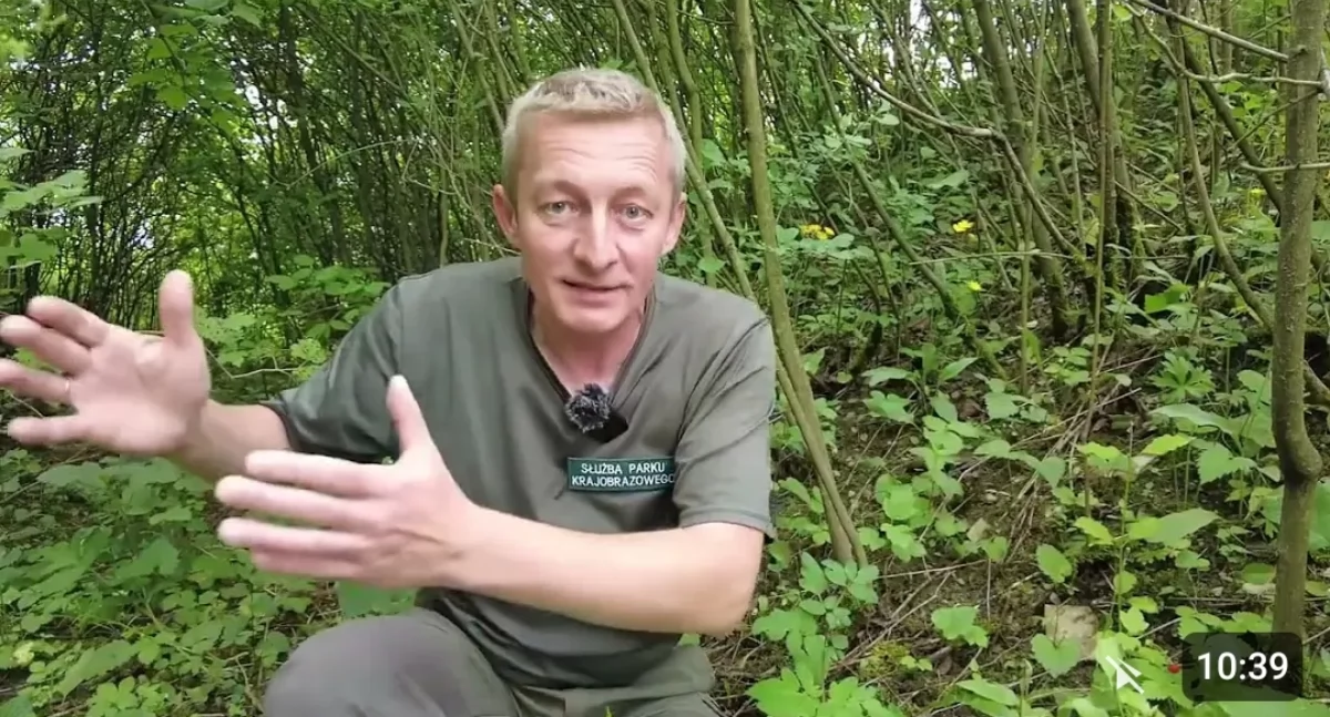 Nasze sprawy, Czyżnie Tajemniczy Świat Krzewów Zarośli [VIDEO] - zdjęcie, fotografia