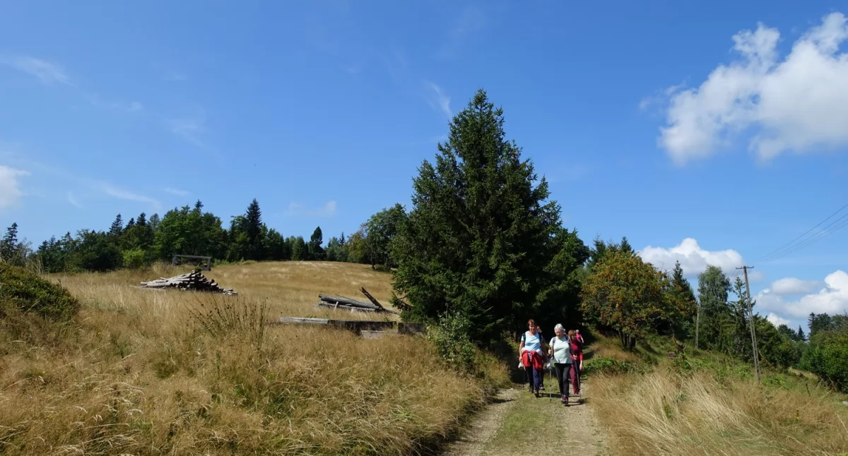 Atrakcje Turystyczne - Podróże małe i duże, Wakacyjne Spotkania Przyrodą Parkach Krajobrazowych Województwa Śląskiego - zdjęcie, fotografia