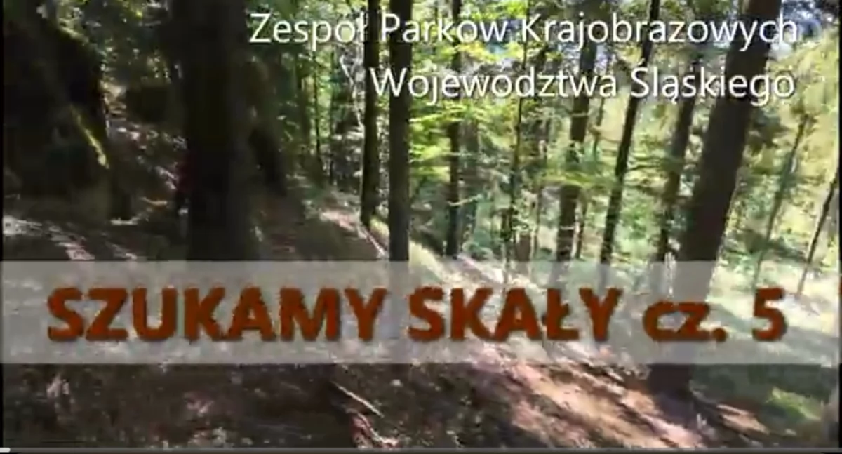Atrakcje Turystyczne - Podróże małe i duże, Poszukiwanie skał Polaną Gibasy Video - zdjęcie, fotografia