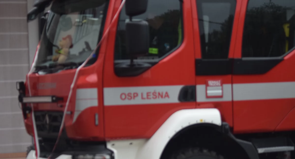 Zdj poglądowe.