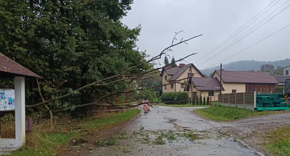 Zdj. OSP Kocoń 