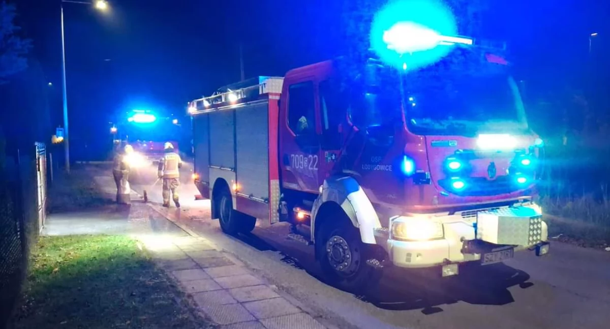Zdj. OSP Łodygowice 