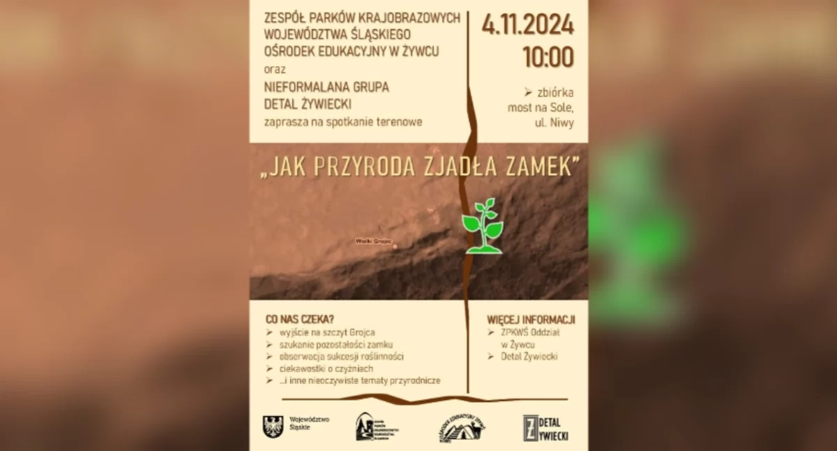 Nasze sprawy, przyroda zjadła zamek Spotkanie terenowe Grojcu - zdjęcie, fotografia