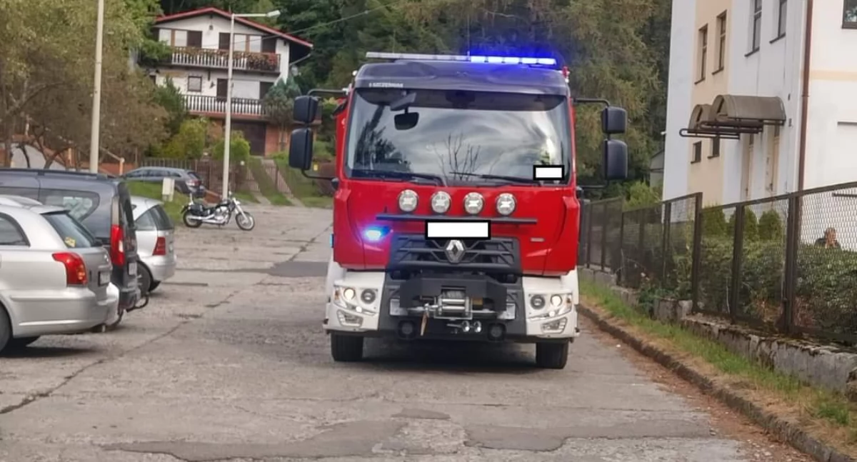 Znad wody, Zanieczyszczenie Śliżowego Potoku interwencja służb dochodzenie - zdjęcie, fotografia
