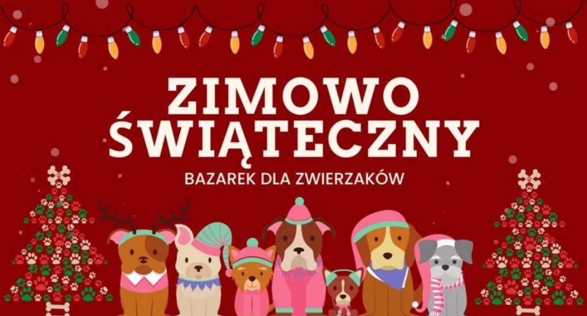 Nasze sprawy, Mikołaja Świąteczna Akcja Bezdomnych Zwierząt Żywcu - zdjęcie, fotografia