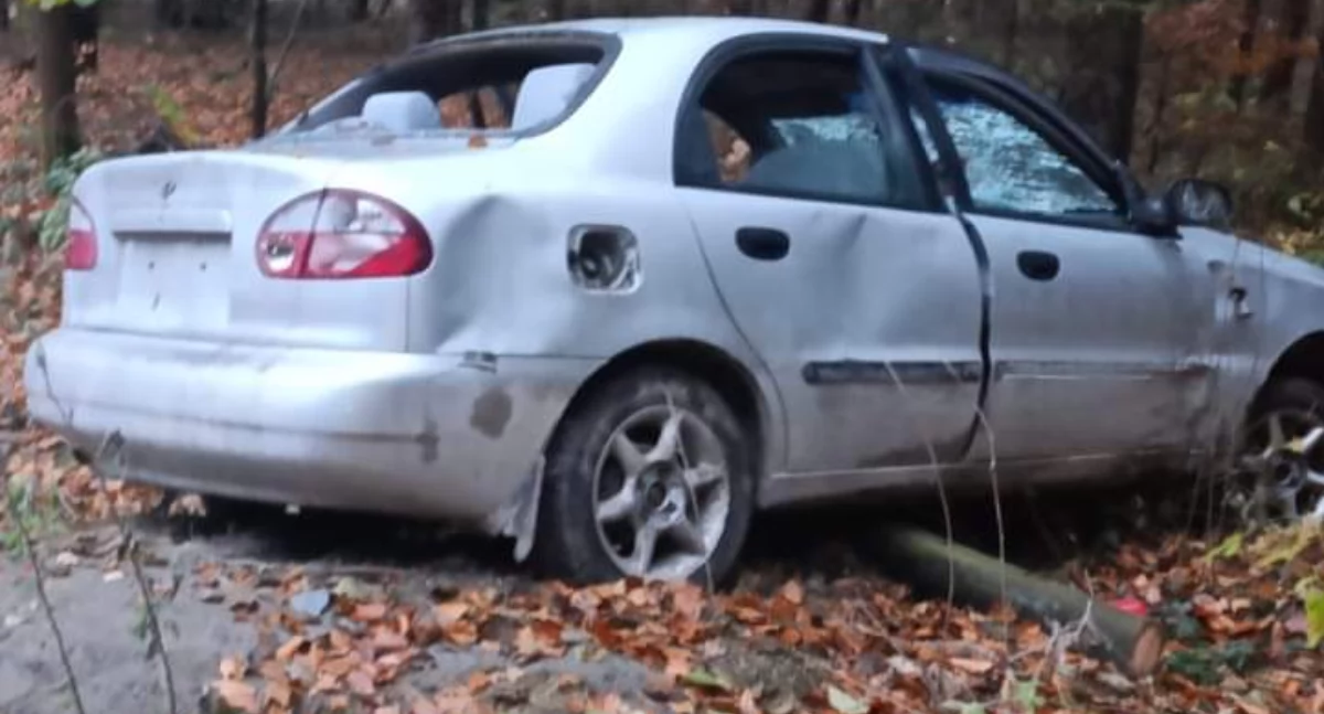 Nasze sprawy, Porzucony samochodu lesie Jeleśnią Wandalizm zagrożenie środowiska - zdjęcie, fotografia