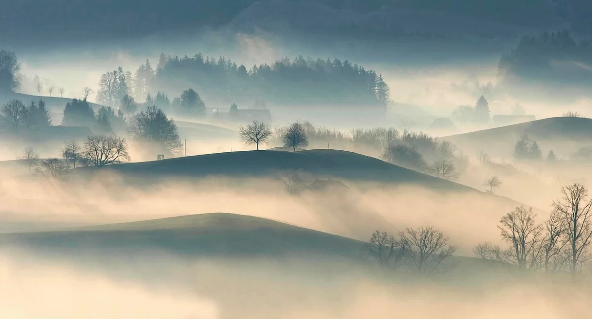 Drogi i Transport, Bezpieczna jazda kluczowe zasady kierowców pieszych - zdjęcie, fotografia