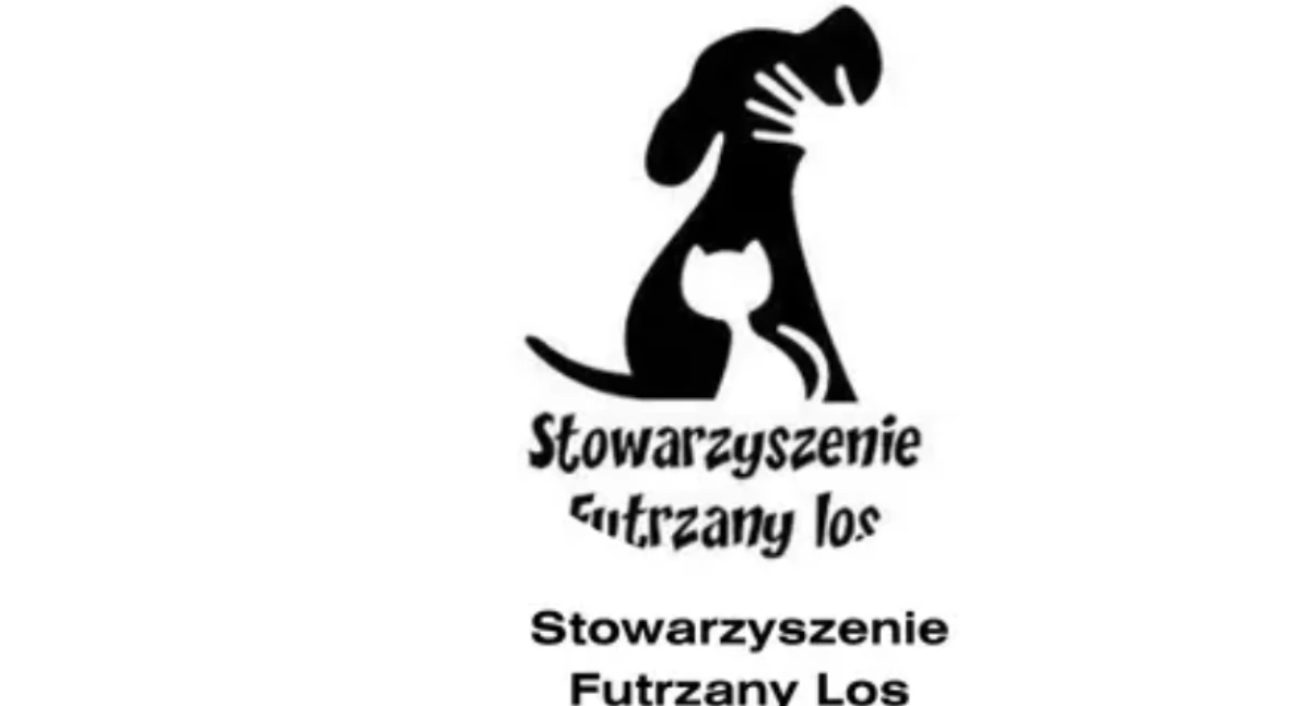 Nasze sprawy, Pomóż bezdomnym zwierzętom Żywcu Wspieraj schronisko wychodzenia - zdjęcie, fotografia