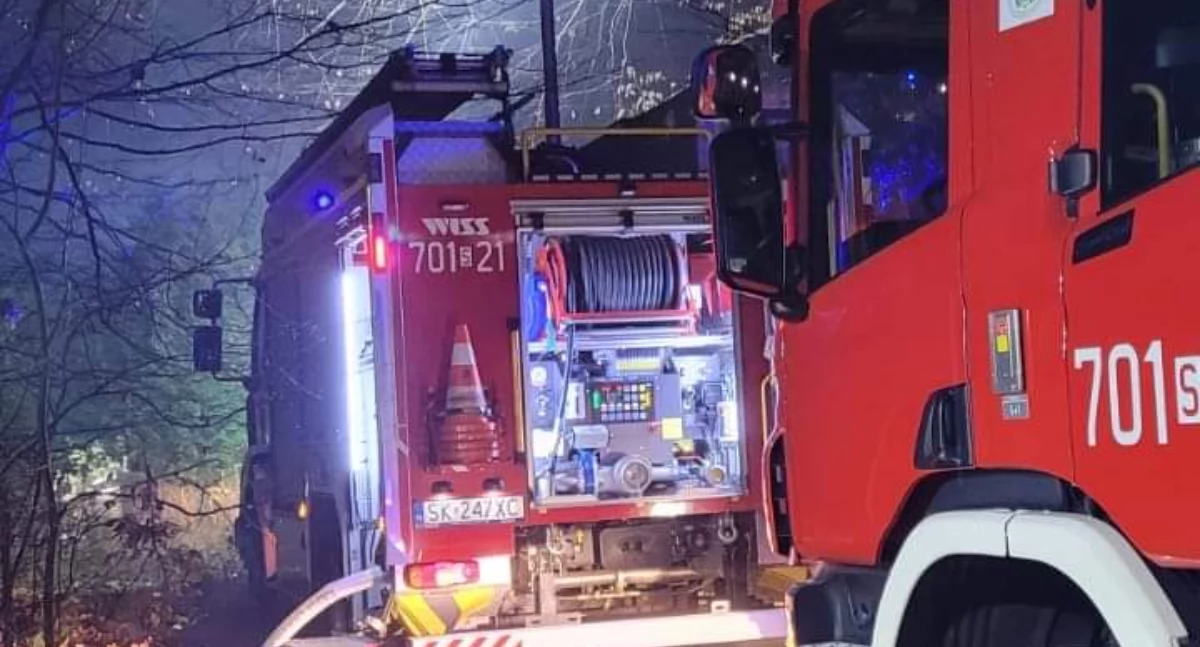 Zdj. OSP Łodygowice 