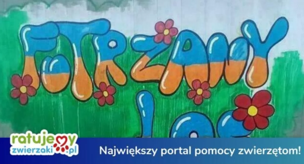 Nasze sprawy, Pomóż Futrzanemu Losowi wygrać zwierzaków! - zdjęcie, fotografia