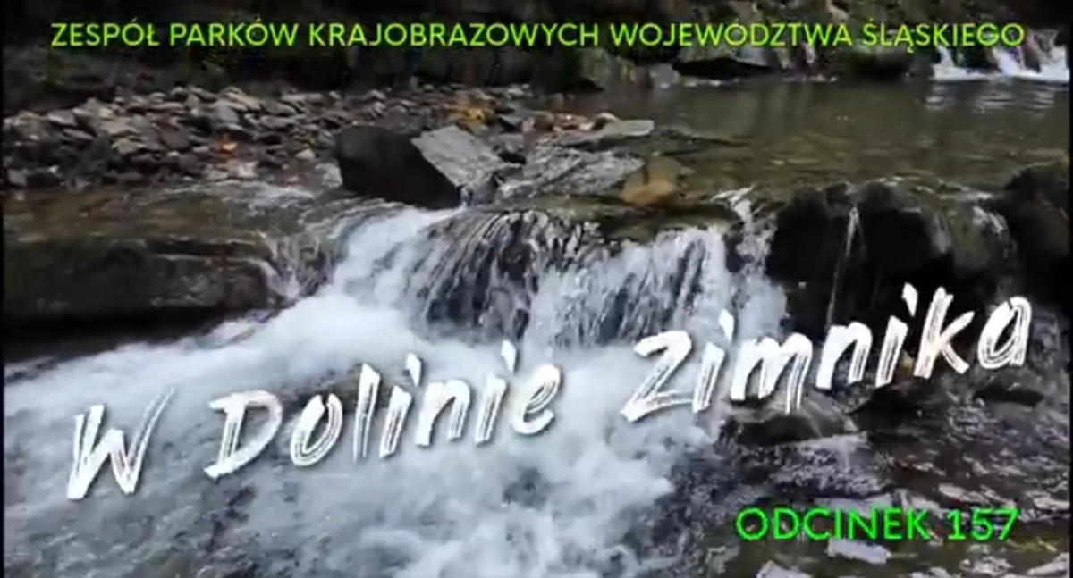 Nasze sprawy, Spacer Dolinie Zimnika natura najlepszym wydaniu Video - zdjęcie, fotografia