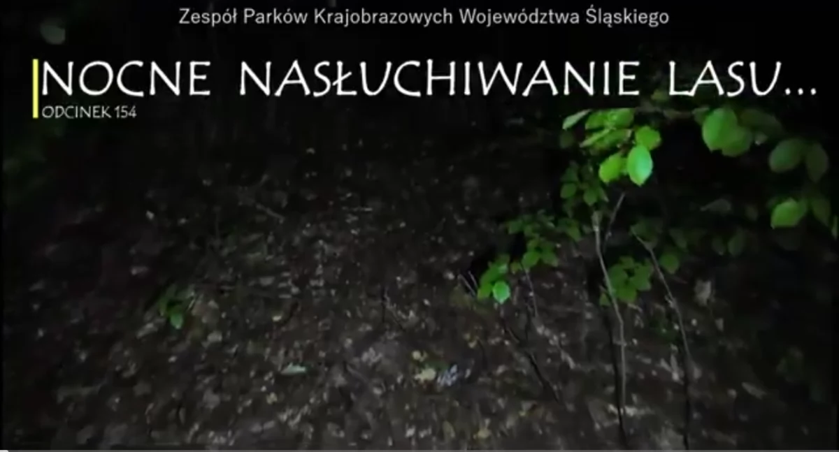 Nasze sprawy, Video Nocne nasłuchiwanie magia ciszy dźwięku - zdjęcie, fotografia
