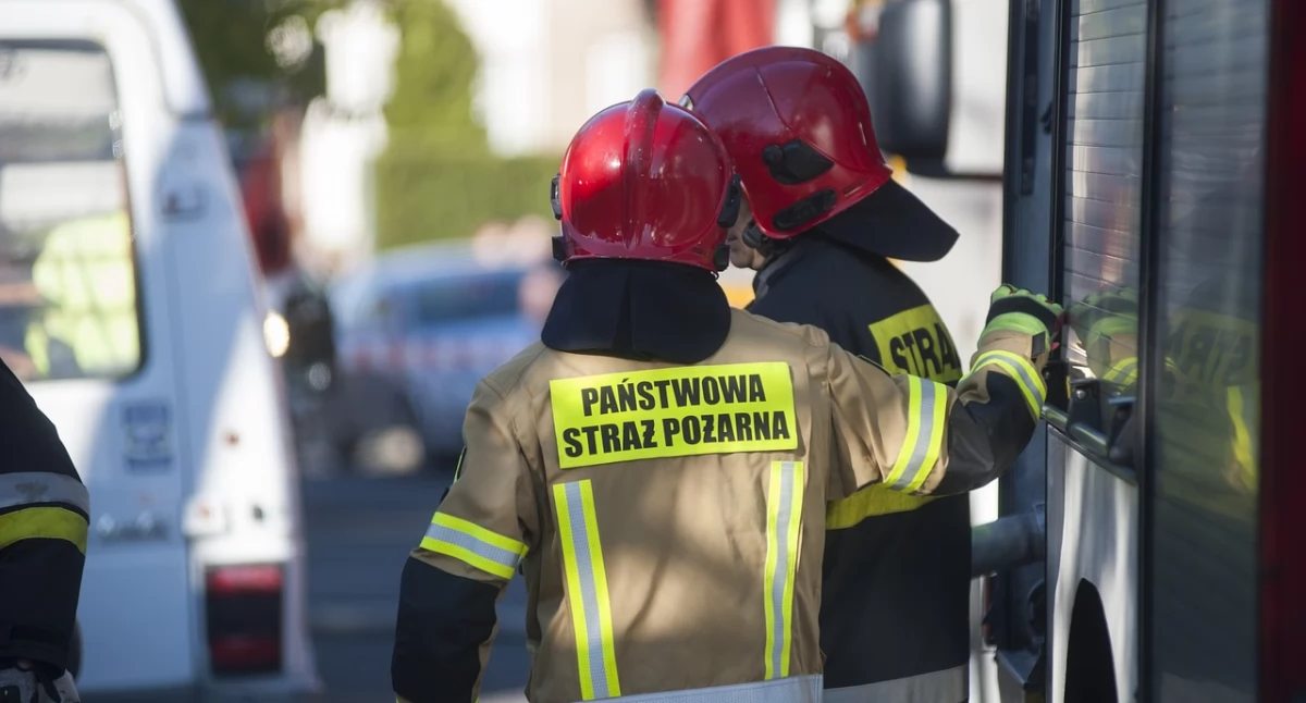 Zdj. Poglądowe