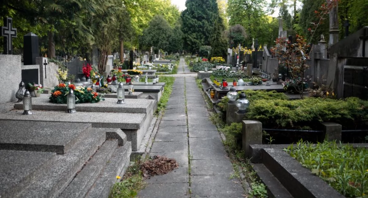 Materiał zewnętrzny, Wybór pomiędzy pochówkiem tradycyjnym kremacją warto wiedzieć - zdjęcie, fotografia