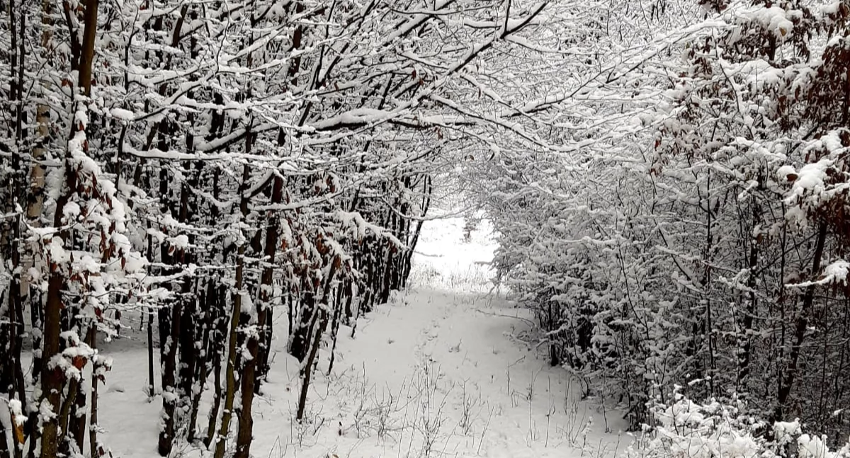 Nasze sprawy, Rekordowe Mrozy Żywiecczyźnie - zdjęcie, fotografia