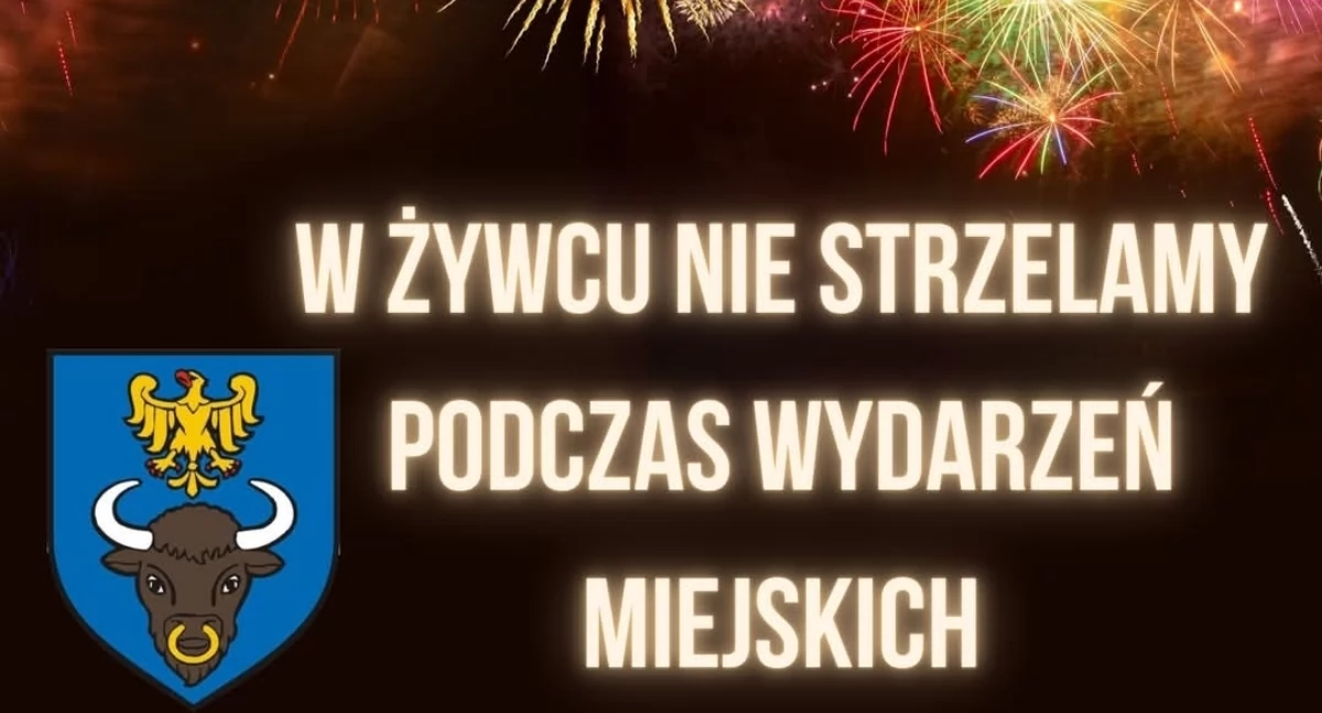 Nasze sprawy, Żywiec fajerwerków troska zwierzęta środowisko - zdjęcie, fotografia