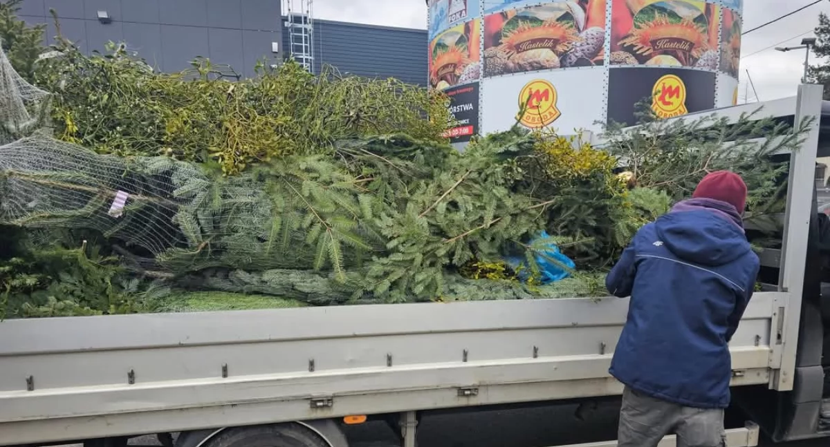 Nasze sprawy, Naturalne Tarliska Powiecie Żywieckim Wspólna Inicjatywa Rzecz Ochrony Rybiej Populacji - zdjęcie, fotografia
