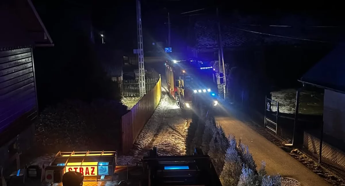 Zdj OSP Ujsoły 