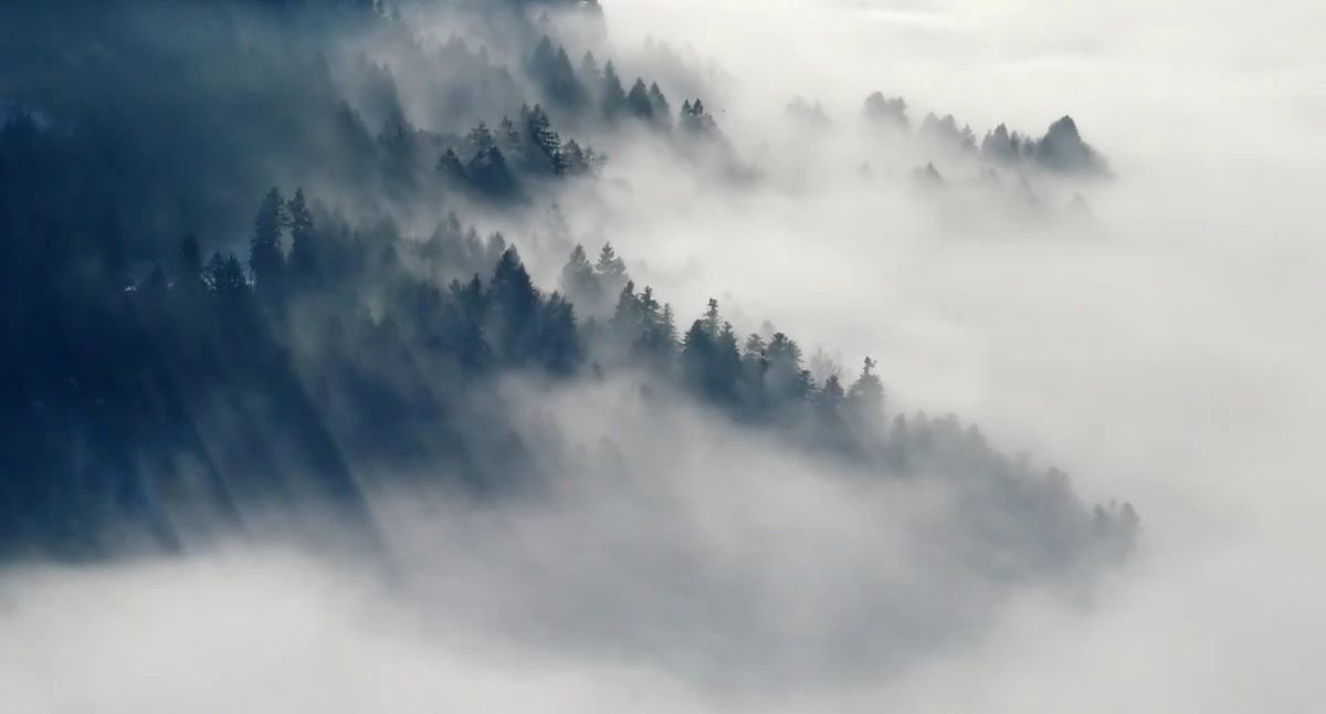 Nasze sprawy, Ostrzeżenie meteorologiczne Silny wiatr - zdjęcie, fotografia