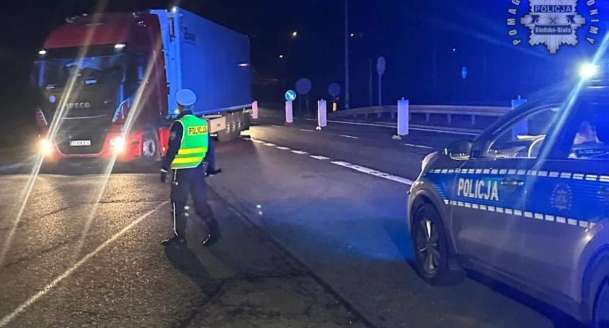 Drogi i Transport, Wzmożone kontrole Zwardoniu działania prewencyjne przeciw pryszczycy - zdjęcie, fotografia