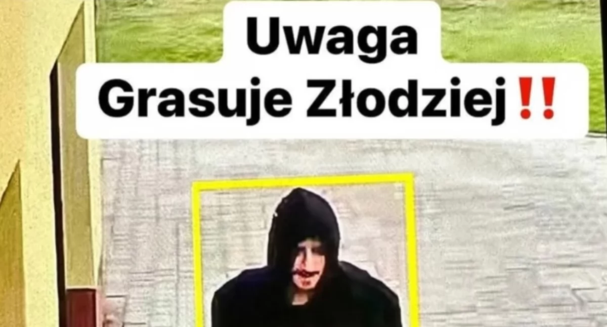 Fot. Łukasz Hańderek