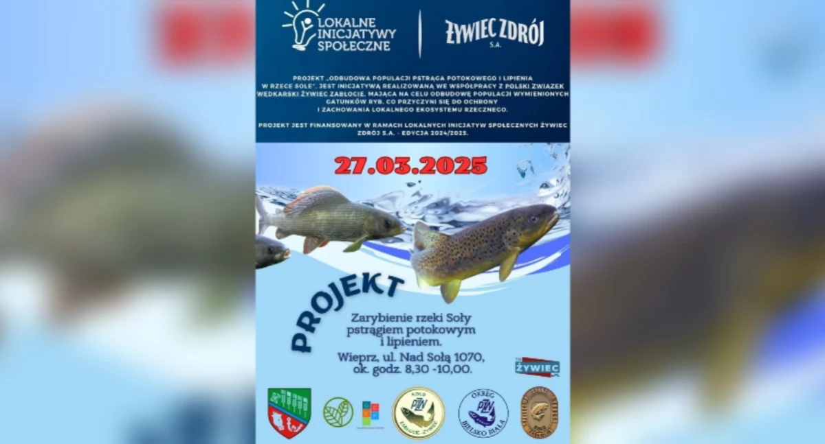 Znad wody, Odbudowa populacji pstrąga lipienia lokalna inicjatywa ekologiczna - zdjęcie, fotografia