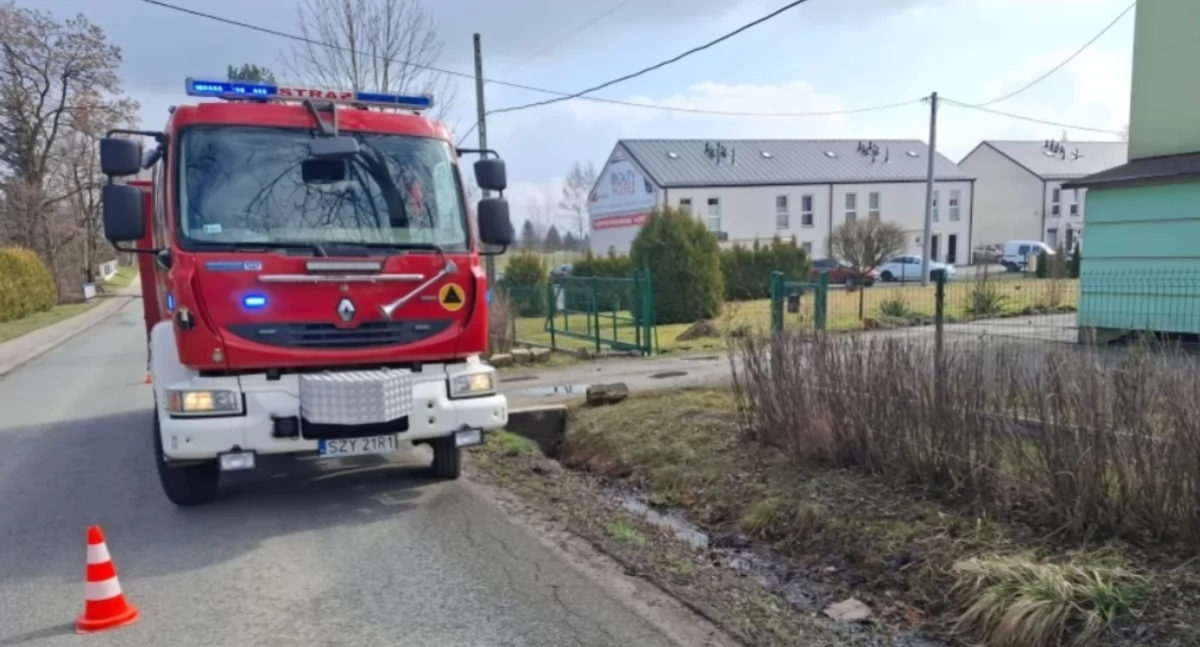 Zdj. OSP Łodygowice 