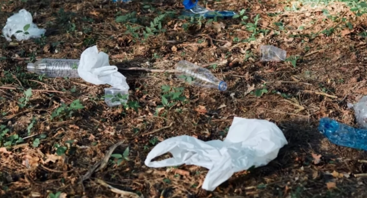 Nasze sprawy, Czernichów walczy problemem spożywania alkoholu miejscach publicznych - zdjęcie, fotografia
