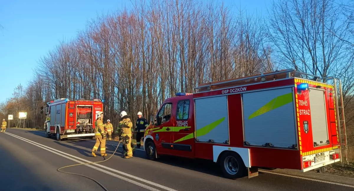 Nasze sprawy, Pożar zarośli drodze wojewódzkiej - zdjęcie, fotografia