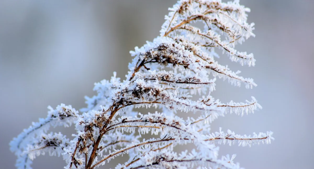 Nasze sprawy, Ostrzeżenia meteorologiczne Oblodzenie przymrozki zachowaj ostrożność! - zdjęcie, fotografia
