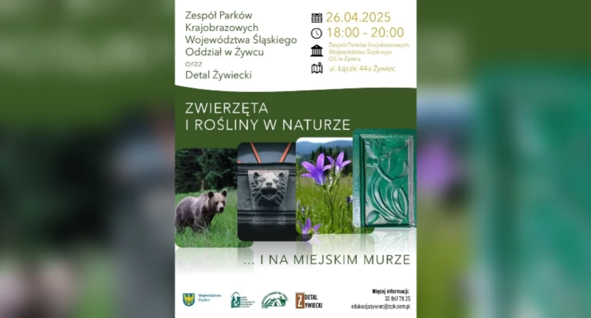 Nasze sprawy, Odkryj dziką przyrodę murze miejskim! - zdjęcie, fotografia