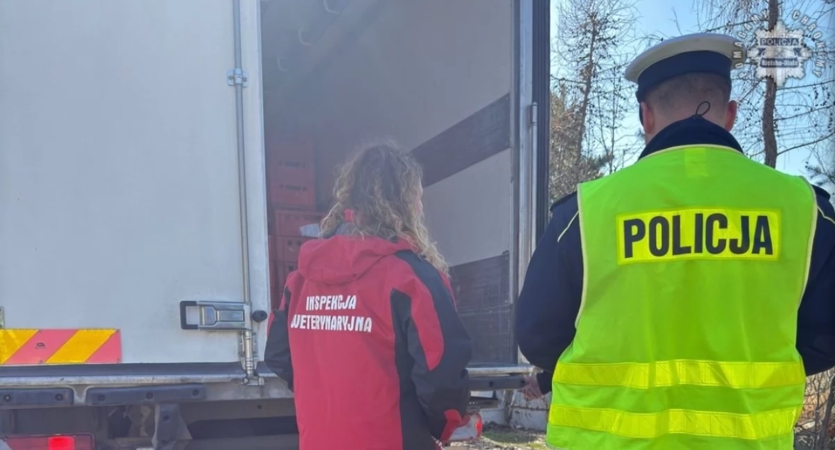 Nasze sprawy, Wzmożone kontrole granicy Słowacją działania prewencyjne wobec zagrożenia pryszczycą - zdjęcie, fotografia