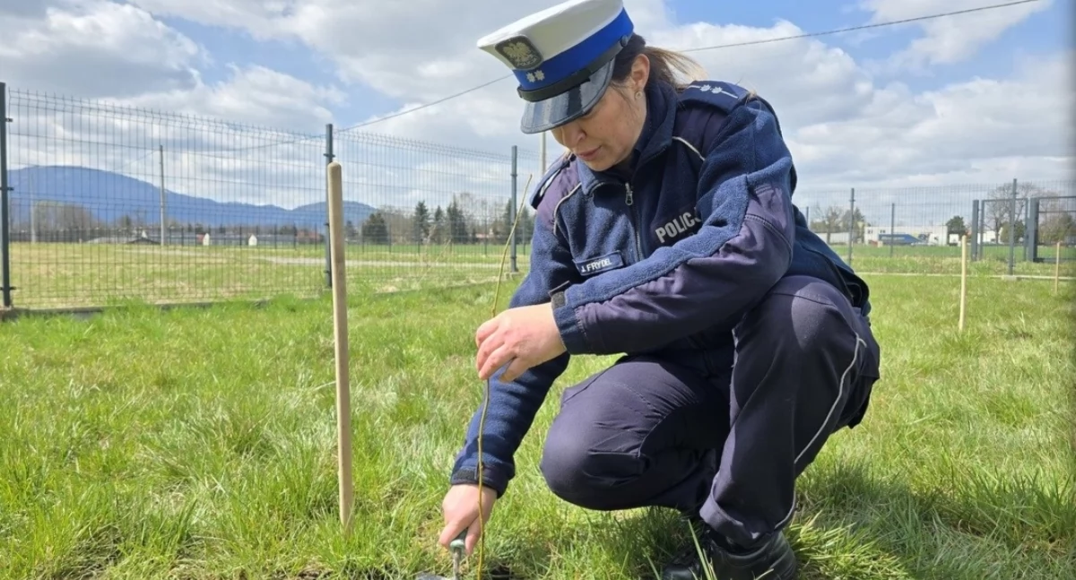 Nasze sprawy, lecie Kobiet Policji symbol siły trwałości - zdjęcie, fotografia