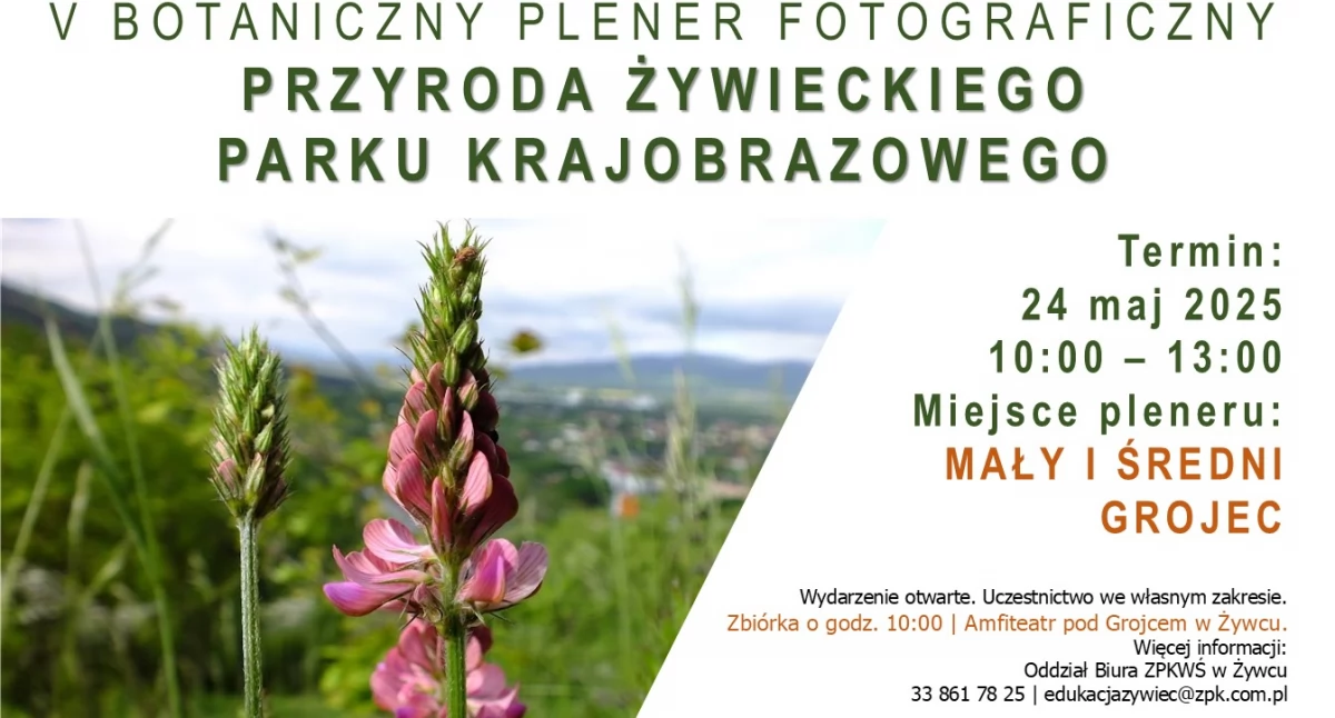 Nasze sprawy, Botaniczny Plener Fotograficzny Przyroda Żywieckiego Parku Krajobrazowego” - zdjęcie, fotografia