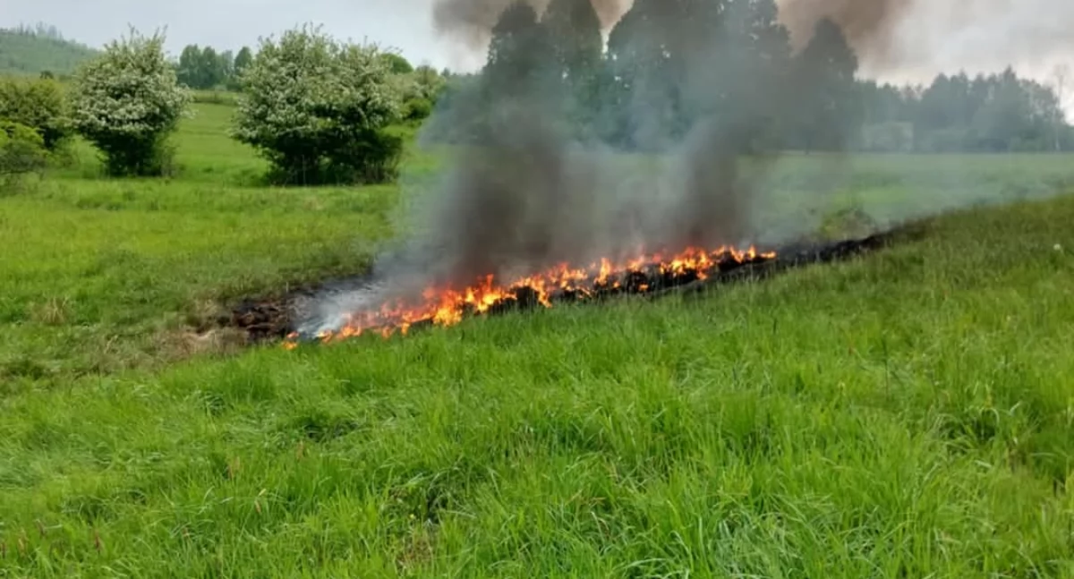 Pożary, Pożar nielegalnego wysypiska Ciscu szybka akcja służb ratunkowych - zdjęcie, fotografia