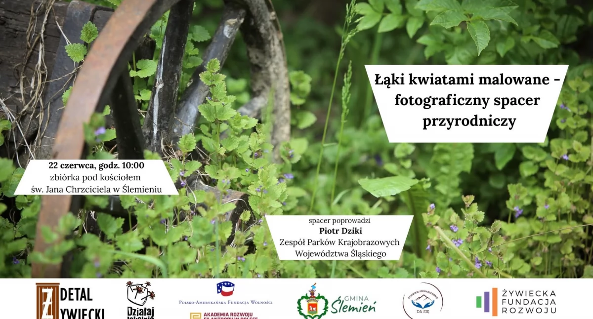 Nasze sprawy, czerwca fotograficzny spacer przyrodniczy Ślemieniu! - zdjęcie, fotografia