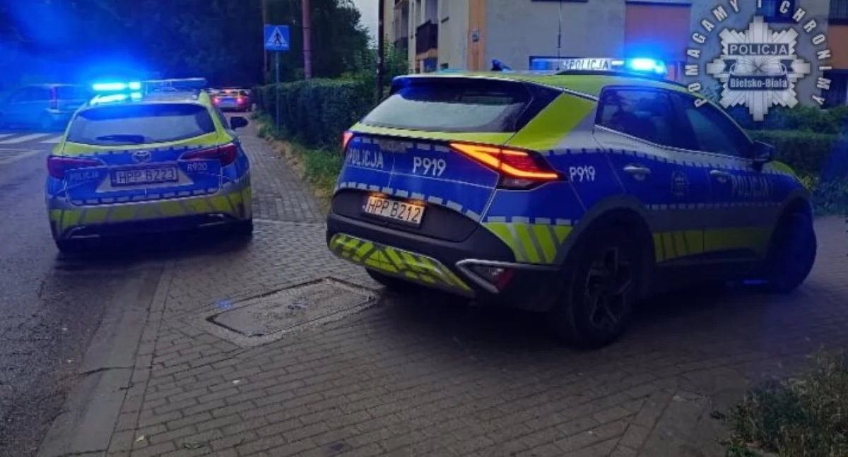 Nasze sprawy, Bielsko Biała Zaginiona latka odnaleziona cała zdrowa błyskawiczna akcja służb - zdjęcie, fotografia