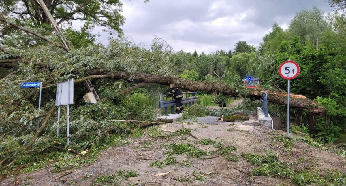 Zdj. Ochotnicza Straż Pożarna w Lipowej 