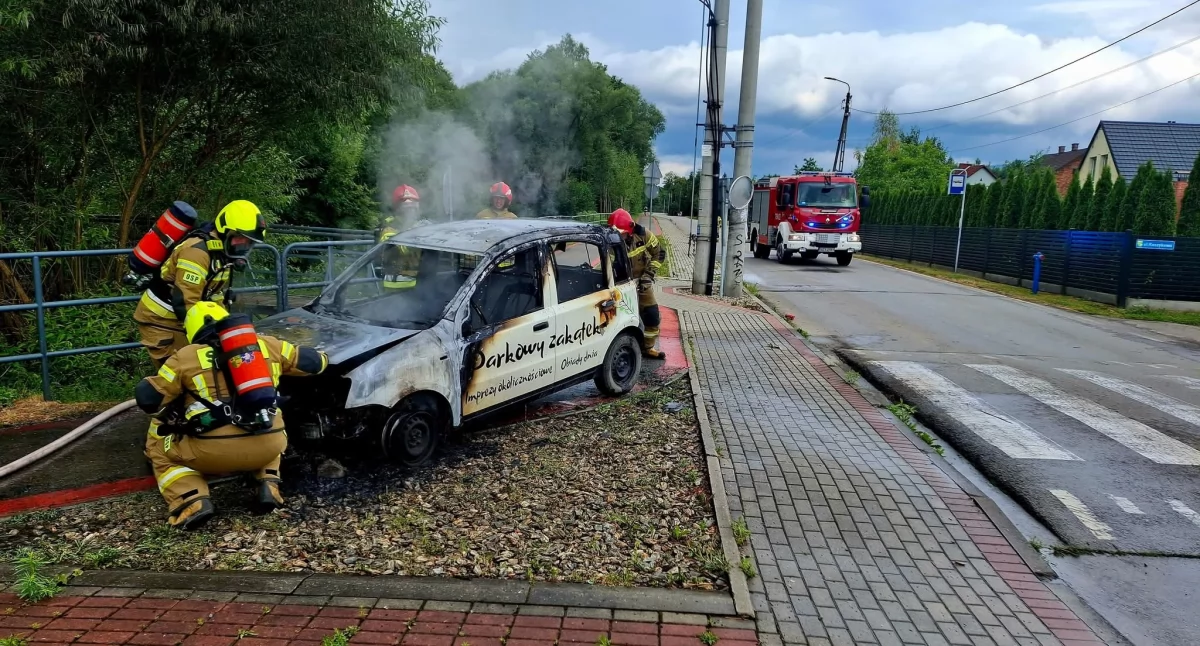 Zdj. OSP Łodygowice 