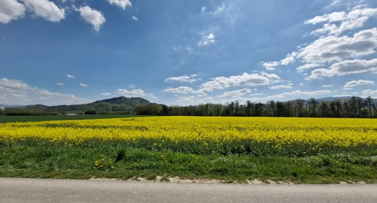 Nasze sprawy, Lipowa świętuje plony lecie Koła Gospodyń Wiejskich - zdjęcie, fotografia