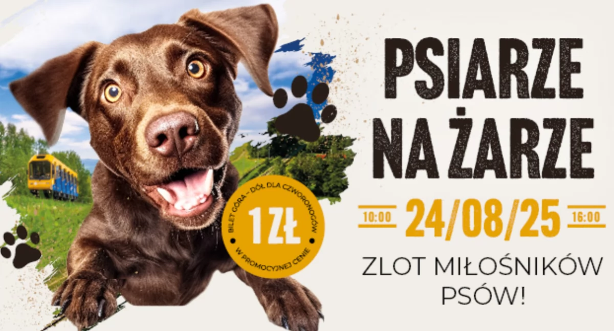 Wystawy, Fotografia, Psiarze Żarze wyjątkowe wydarzenie miłośników psów - zdjęcie, fotografia