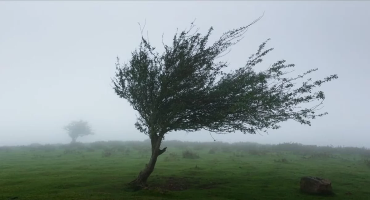 Miejscowe zagrożenie, Ostrzeżenie meteorologiczne Żywiecczyzny - zdjęcie, fotografia