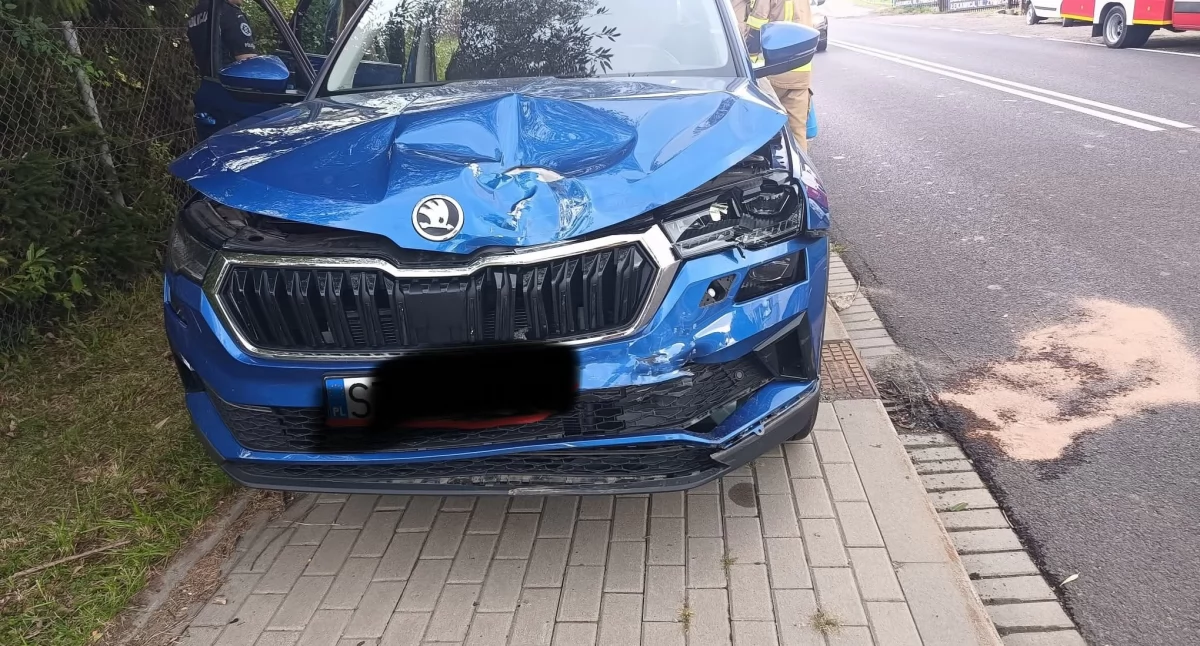 Zdj. OSP Łękawica 