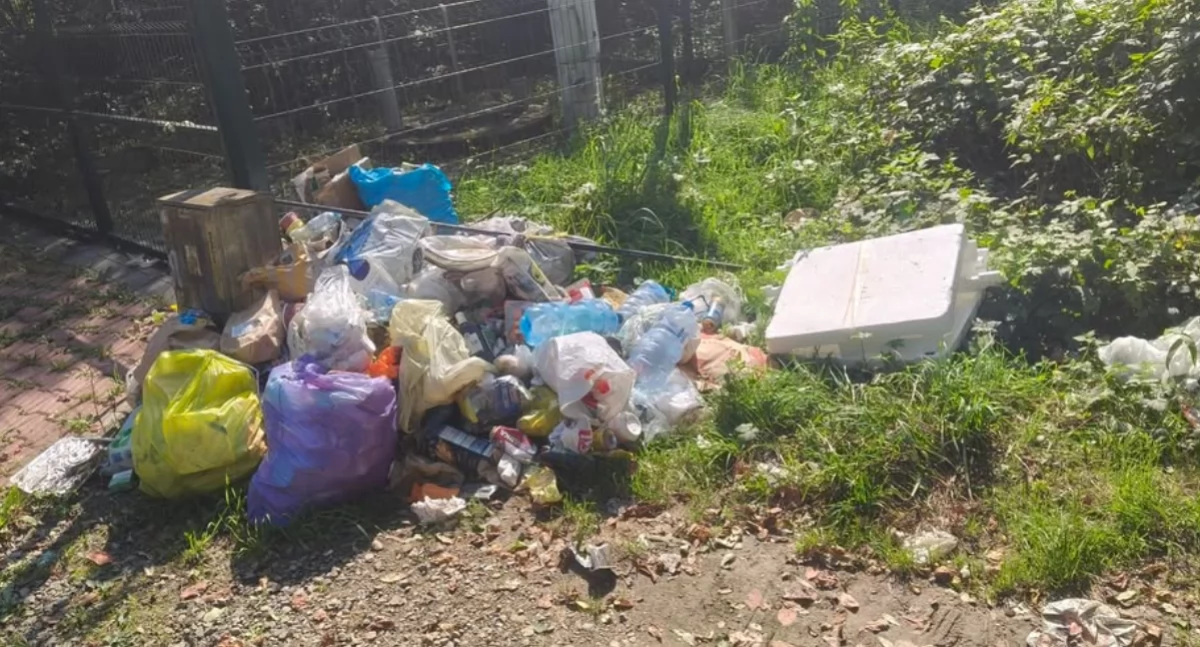 Nasze sprawy, Mieszkańcy Letniskowej proszą ustawienie kontenera śmieci - zdjęcie, fotografia