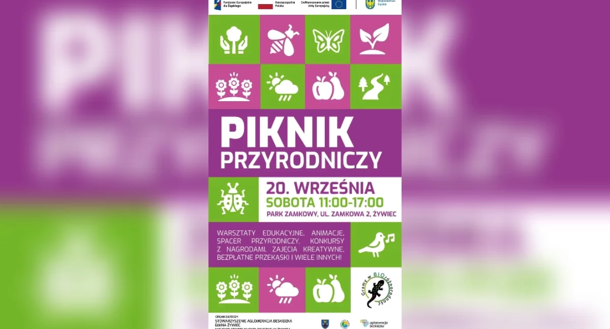 Rozrywka, Piknik „BIO różnorodność” Żywcu - zdjęcie, fotografia