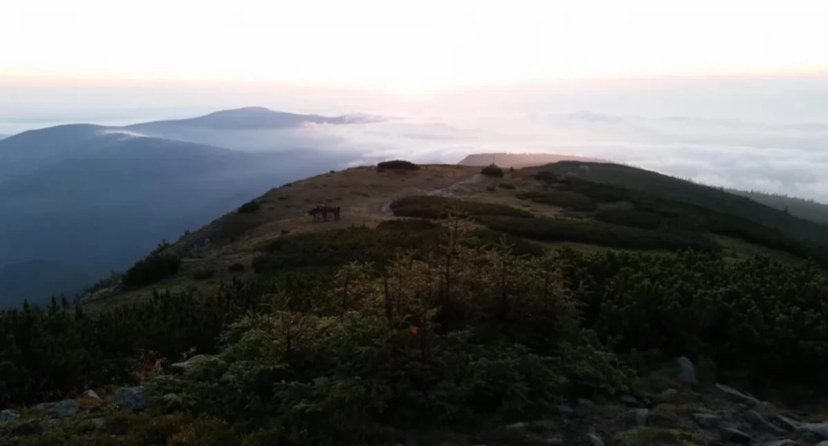 Akcje GOPRu, Babia Góra Dyżur Otwarty Markowych Szczawinach Naucz pomagać Babią Górą - zdjęcie, fotografia