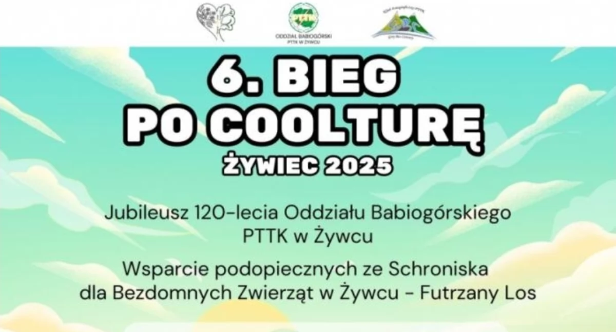 Nasze sprawy, COOLTURĘ sport kultura pomoc zwierząt - zdjęcie, fotografia