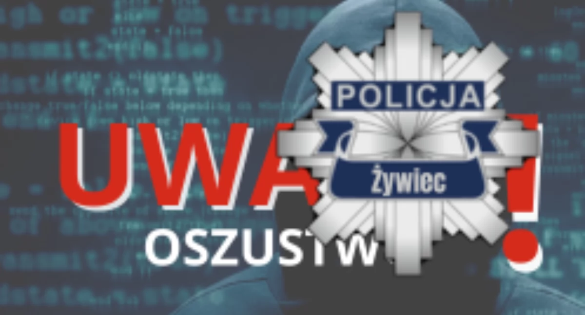 Nasze sprawy, Uważaj oszustów sieci bezpieczne zakupy płatności - zdjęcie, fotografia